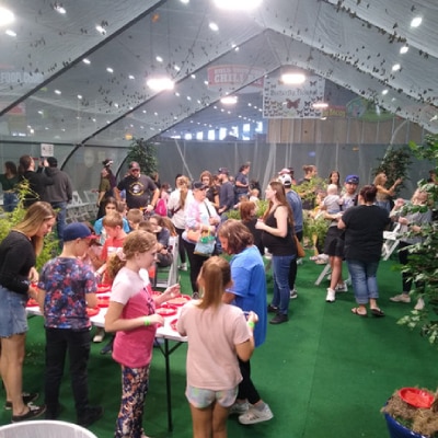 BUTTERFLY EXHIBIT